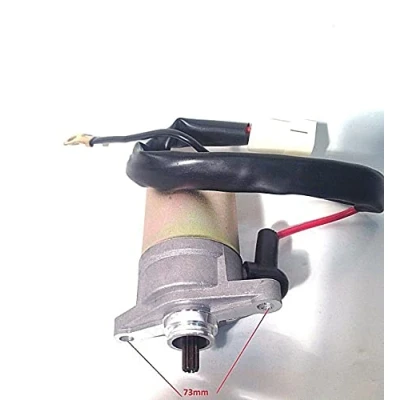 Abbildung von Anlasser Starter GY6 50ccm ZNEN Roller Motorroller Retro Scooter Benzhou Baotian