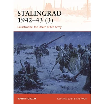 Abbildung von Stalingrad 194243 (3): Catastrophe: the Death of 6th Army (Campaign)