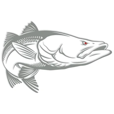 Abbildung von Finest Folia Fisch Aufkleber für Auto Motorrad Boot Schlauchboot Angelbox Sticker Autoaufkleber Angler Fische selbstklebend wetterfest wasserfest K174 (Mittelgrau, Motiv 01)