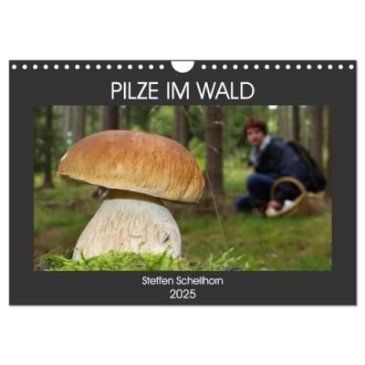 Abbildung von PILZE IM WALD (Wandkalender 2025 DIN A4 quer), CALVENDO Monatskalender