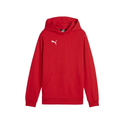 Abbildung von Puma Teamgoal Kapuzenpullover für Kinder, Größe: 116, Rotweiss