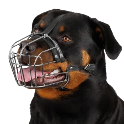 Abbildung von BRONZEDOG Hundemaulkorb Verstellbar Robustes PVC/Metalldrahtkorb für Große und Sehr Hunde mit Lederbändern Atmungsaktiv, Trinkfähig, Training, Verhindert Beißen (Rottweiler, Edelstahl)