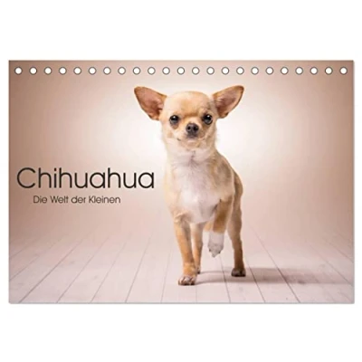 Abbildung von Chihuahua Die Welt der Kleinen (Tischkalender 2025 DIN A5 quer), CALVENDO Monatskalender