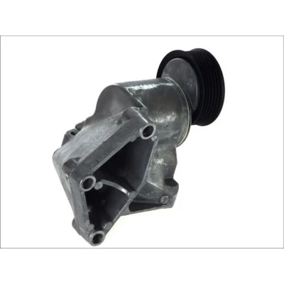 Abbildung von SNR GA352.56 Spannrolle FORD: Focus Mk1 Kombi, Schrägheck, Fusion Kombi