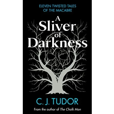 Abbildung von A Sliver of Darkness