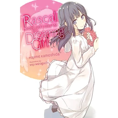 Abbildung von Rascal Does Not Dream of a Dreaming Girl (light novel): Volume 6 (Rascal Dream, 6)