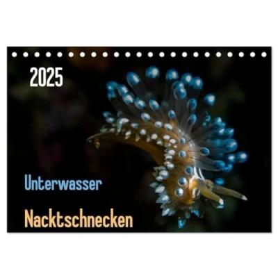 Abbildung von Unterwasser Nacktschnecken 2025 (Tischkalender DIN A5 quer), CALVENDO Monatskalender