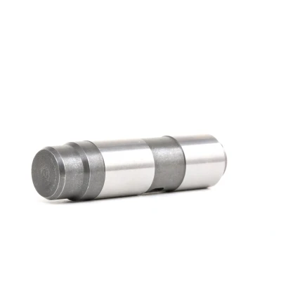 Abbildung von FEBI BILSTEIN 08688 Spanner, Steuerkette BMW: 3 Limousine, Coupe, Compact