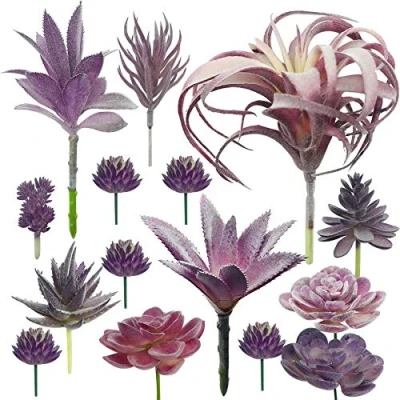 Abbildung von Cayway 15 Stück Künstliche Sukkulenten Lila Unfotted Faux Blume Künstlich Gemischt für Zuhause Indoor Fairy Garden Dekorationen