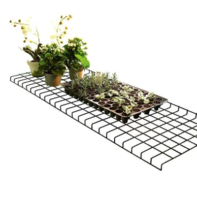 Abbildung von Biogreen FS40 120 Bruno Klappregalboden 40 x cm