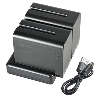 Abbildung von DSTE NP F970 F950 (2 Stück) Wiederaufladbarer Akku Ersatzakku und Dual Ladegerät Kompatibel mit Sony F960, F550, F530, F330, F570, CCD SC55
