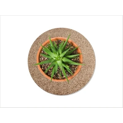 Abbildung von Keilbach Blumentopf Unterlage, ⌀ 34,0 cm, sandfarben