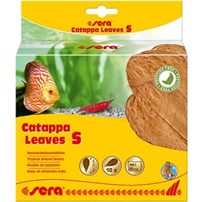 Abbildung von sera Aquariendeko Catappa Größe S 10 15 cm Seemandelbaumblätter