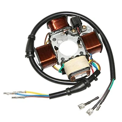 Abbildung von P2R (Motorisã©) Stator Zündung Cyclo Passend Piaggio 50 Ciao 12V