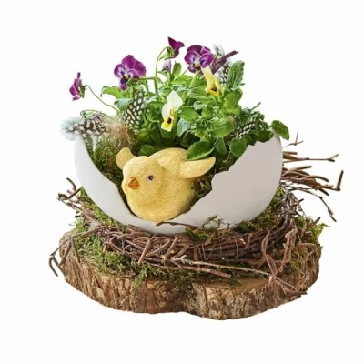 Abbildung von Loberon Deko Schale Alfie, origienelles Eierschalen Design mit Küken, detailgetreues Design, handbemalt, Ostern, Osterdekoration, Polyresin, weiß/gelb