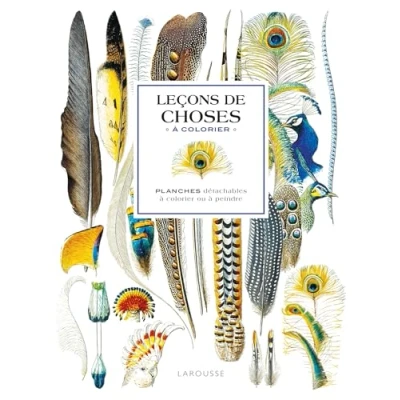 Abbildung von Affiches à colorier : Leçons de choses: Planches détachables ou peindre