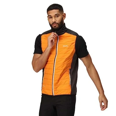 Abbildung von REGATTA GREAT OUTDOORS Halton B/W VII OrangPep/Blk L