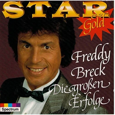 Abbildung von Star Gold Die grossen Erfolge