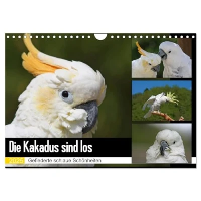 Abbildung von Die Kakadus sind los (Wandkalender 2025 DIN A4 quer), CALVENDO Monatskalender