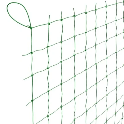 Abbildung von GardenGloss® Ranknetz mit großer Maschenweite für besonders ertragreiche Ernte von Gurken, Tomaten und Anderen Gemüsepflanzen Rankhilfen Kletterpflanzen (2m x 2.5m)