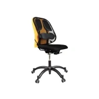 Abbildung von Fellowes Rückenstütze Netz Professional Serie TM schwarz