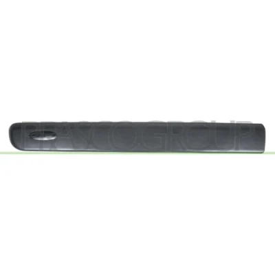 Abbildung von PRASCO RN9161404 Zierleisten mit Befestigungsmaterial RENAULT: Kangoo I