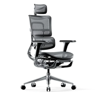 Abbildung von Diablo V Master Bürostuhl Ergonomisch Schreibtischstuhl Fußstütze Mesh 3D Armlehnen Kopfstütze Sitz Verstellbar Flexible Lendenwirbelstütze (Schwarz/Grau)