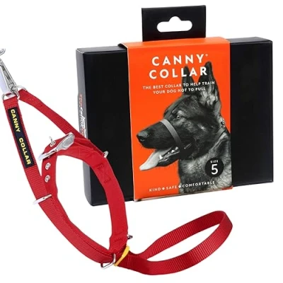 Abbildung von Canny Dog Collar Red Größe 5