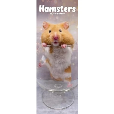 Abbildung von Hamsters Hamster 2025: Original Avonside Kalender Slimline [Mehrsprachig] [Kalender]