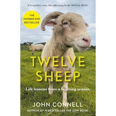 Abbildung von Twelve Sheep: Life lessons from a lambing season