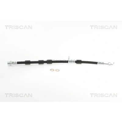 Abbildung von TRISCAN 8150 16350 Bremsschläuche F10x1 FORD: KA+ Schrägheck, FIESTA 6