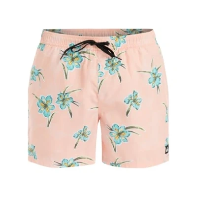 Abbildung von Quiksilver Everyday Straight Badeshorts, Herren, Größe: Large, Mef