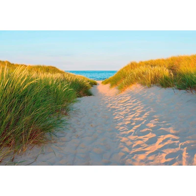 Abbildung von Komar Fototapete &quot;Sandy Path&quot;, 368x254 cm (Breite x Höhe), inklusive Kleister