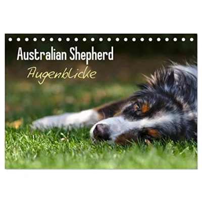 Abbildung von Australian Shepherd Augenblicke (Tischkalender 2025 DIN A5 quer), CALVENDO Monatskalender