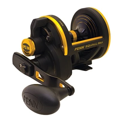 Abbildung von Penn Squall 30 Lever Drag Reel Multirolle