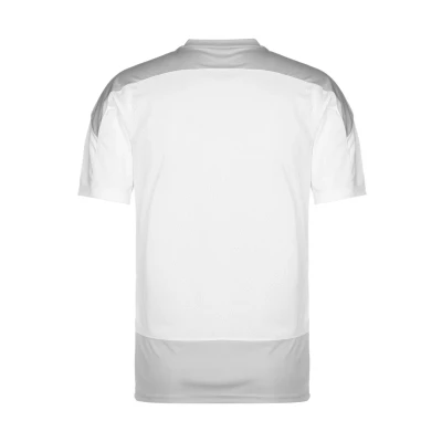 Abbildung von Puma Teamgoal 23 Trainingsshirt Herren Tshirt print, Herren, Größe: Medium, white / gray violet