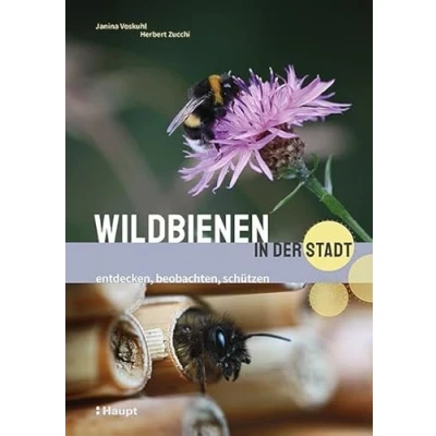 Abbildung von Wildbienen in der Stadt: entdecken, beobachten, schützen