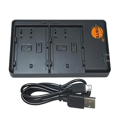 Abbildung von DSTE DMW BTC13 Batterie USB Dual Quick Ladegerät Compatible für BLF19,DMW BLF19e,Panasonic Lumix DMC GH3,DMC GH3A,DMC GH3AGK,DMC GH3GK,DMC GH3H,DMC GH3HGK,DMC GH3KBODY,DMC GH4H,DMC GH4