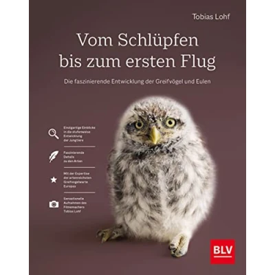 Abbildung von Vom Schlüpfen bis zum ersten Flug: Die faszinierende Entwicklung der Greifvögel und Eulen (BLV Vögel)