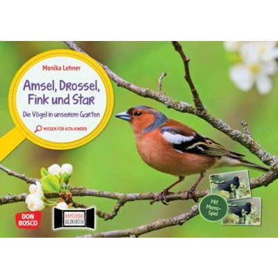 Abbildung von Amsel, Drossel, Fink und Star. Die Vögel in unserem Garten. Kamishibai Bildkarten Memo Spiel: Erzähltheater für Kita Kinder mit Sachwissen zu ... unser Kamishibai)