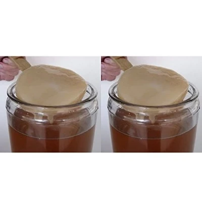 Abbildung von Packung 2X Kombucha Pilz / Scoby + Anleitung Rezepte Hilfe und Beratung in Deutsch KEFIRALIA®