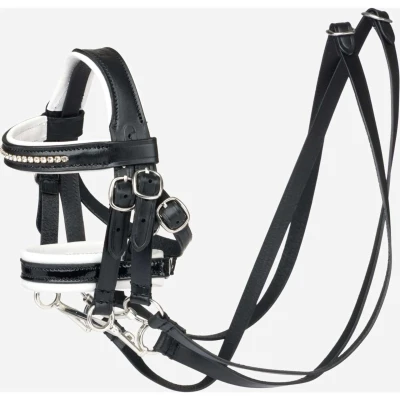Abbildung von LeMieux Toy Pony Stang En Trens Hoofdstel