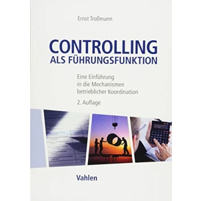 Abbildung von Controlling als Führungsfunktion: Eine Einführung in die Mechanismen betrieblicher Koordination