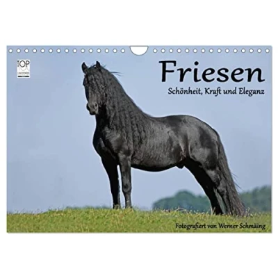 Abbildung von Friesen Schönheit, Kraft und Eleganz (Wandkalender 2025 DIN A4 quer), CALVENDO Monatskalender