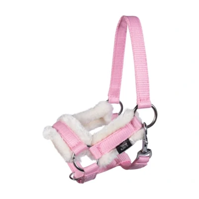Abbildung von HKM Hobby Horse Halster en Touw