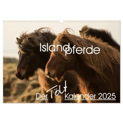 Abbildung von Islandpferde Der Tölt Kalender (Wandkalender 2025 DIN A3 quer), CALVENDO Monatskalender