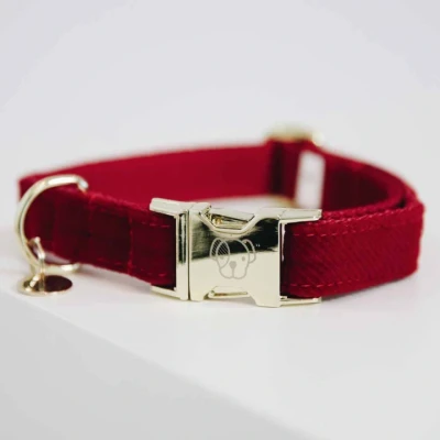 Abbildung von Kentucky Horsewear Hundehalsband Corduroy Rot