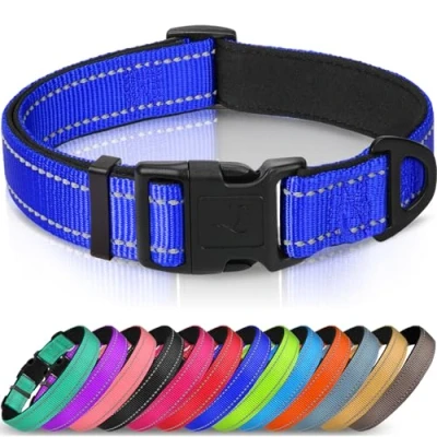 Abbildung von Joytale Halsband Hund, Gepolstertes Hundehalsband Breit aus Neopren Nylon Verstellbar für Welpen, Weich und Reflektierend Hundehalsbänder, XS, Königsblau