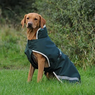 Abbildung von Bucas Green Line Dog Rug Grün 40cm Agradi.deVerkauft von Agradi