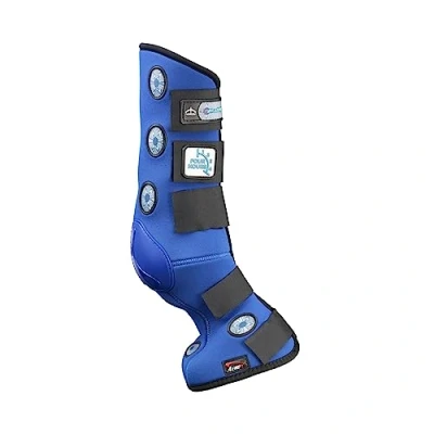 Abbildung von Veredus Stable Boots Magnetik 4 Hours Rear Blau L Agradi.deVerkauft von Agradi
